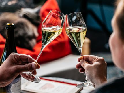 Two people cheersing the SPIEGELAU Definition Champagne glass filled with Champagne.