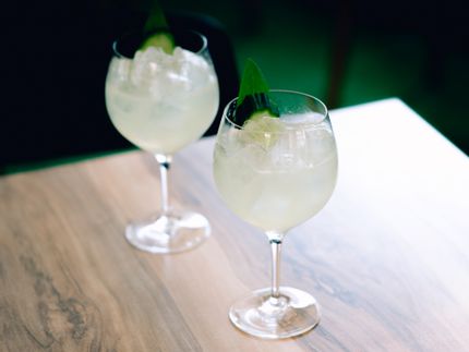 Two SPIEGELAU Gin & Tonic Stemmed glass filled with Gin & Tonic on wooden table.